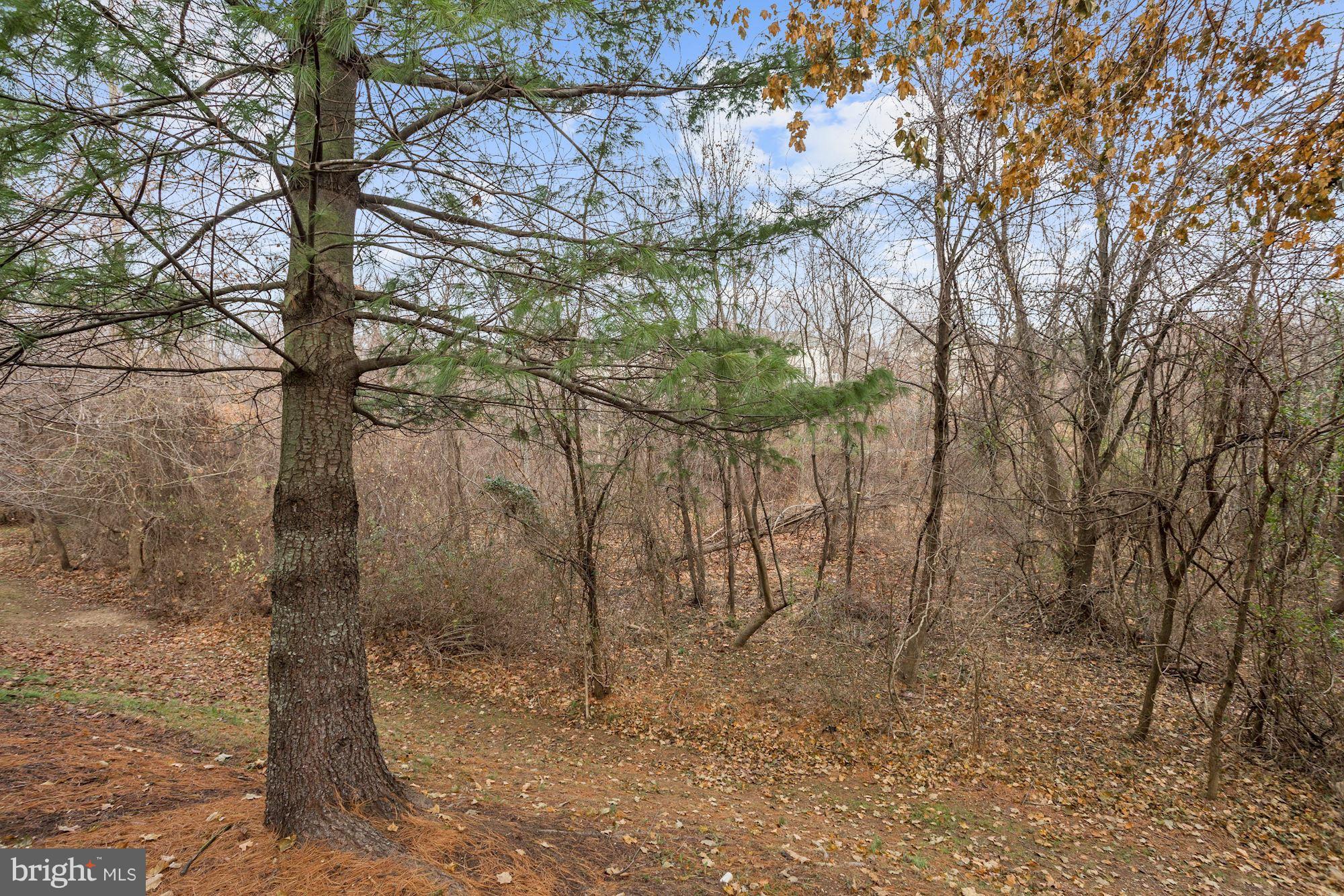 6373 Wind Rider Way Columbia, MD 21045 - Photo 26 of 27 Scenic View