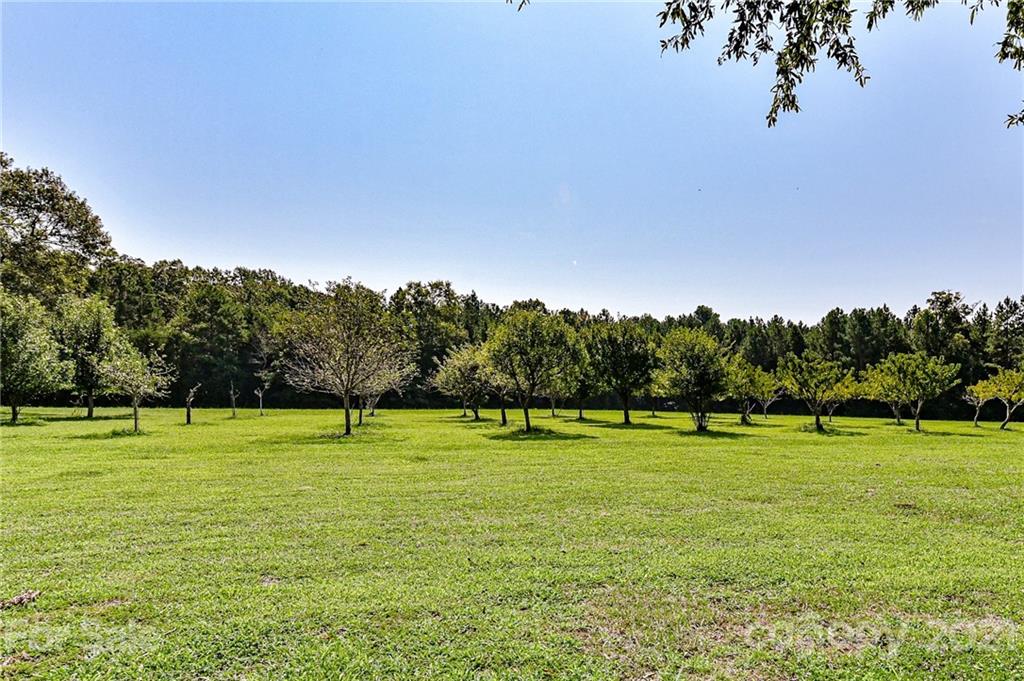 2539 Wooten Road Chester, SC 29706 - Photo 40 of 46 a view of a green field with trees in the background