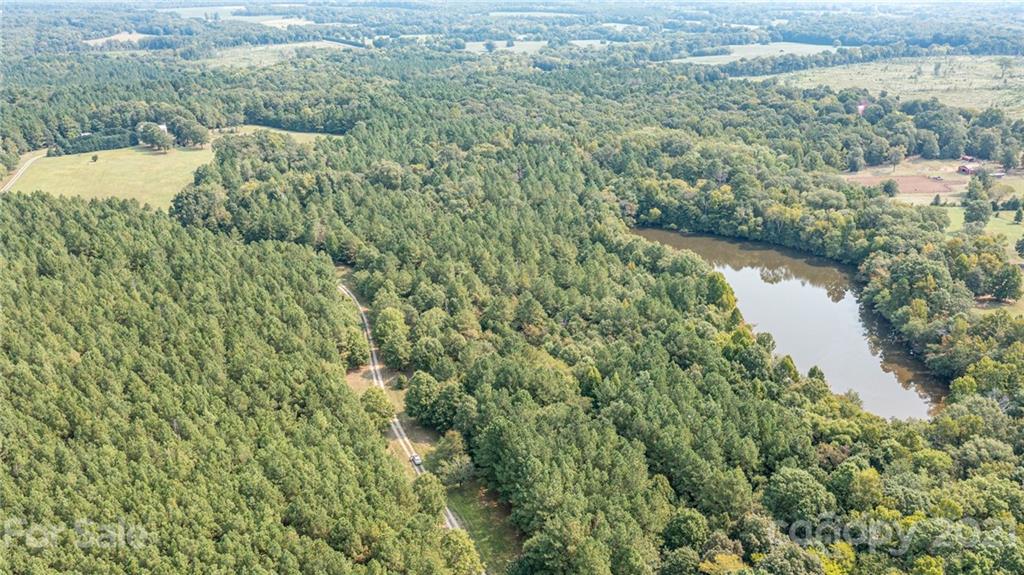 2539 Wooten Road Chester, SC 29706 - Photo 45 of 46 a view of a forest with a lake