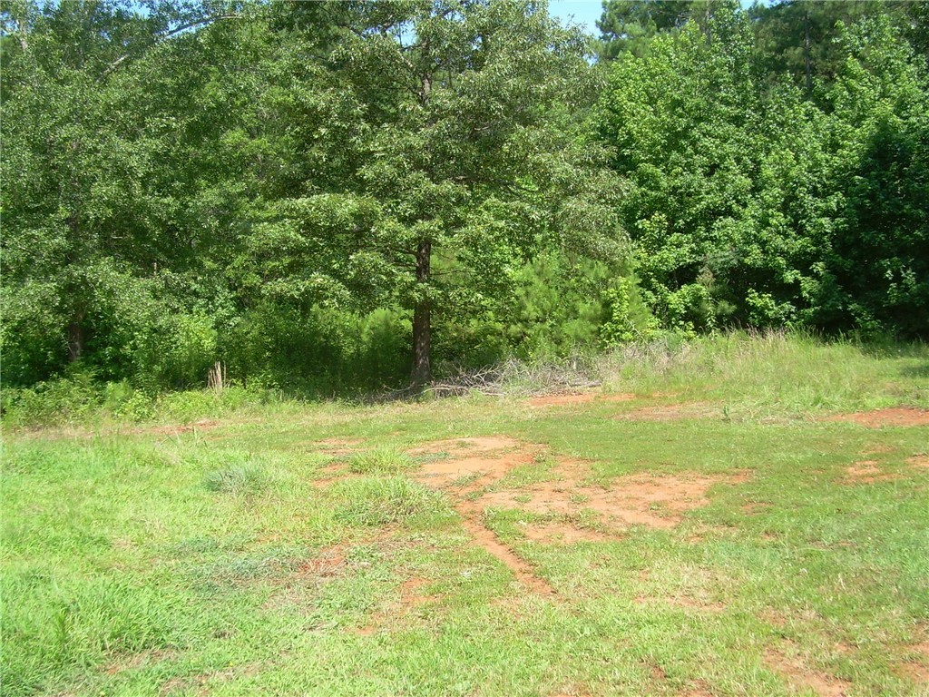 651 Carroll Road Belton, SC 29627 - Photo 3 of 14 Gallery Image 3