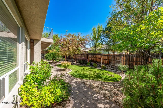 a view of a backyard with plants and large trees