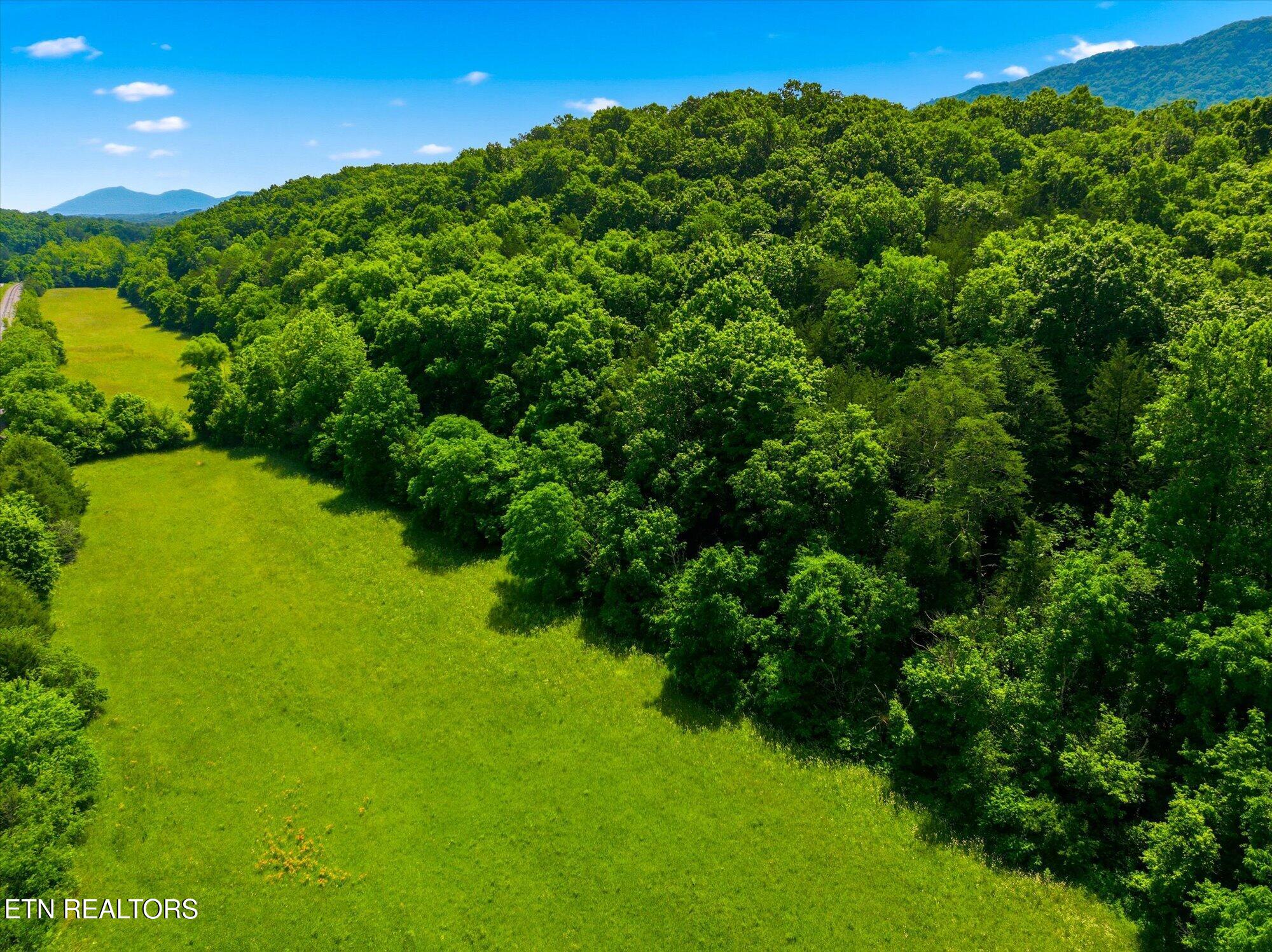 140 Donahue Road Luttrell, TN 37779 - Photo 32 of 36 32-140-Donahue-Rd-Luttrell-TN-32