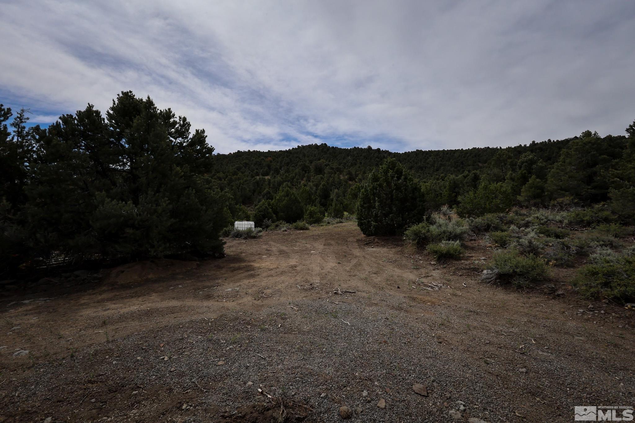 4630 Prospect Road Reno, NV 89521 - Photo 15 of 17 Photo 15