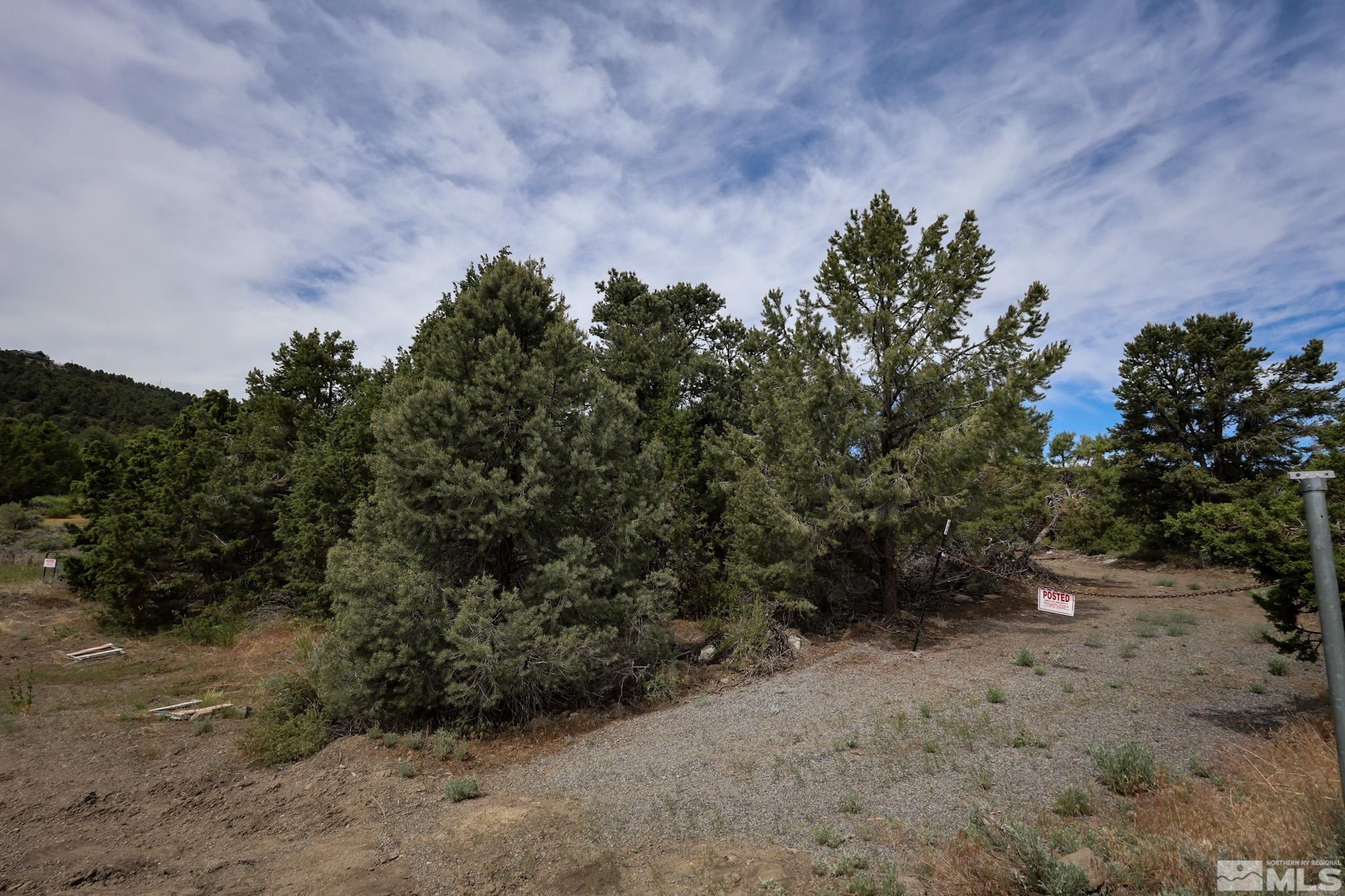 4630 Prospect Road Reno, NV 89521 - Photo 8 of 17 Photo 8