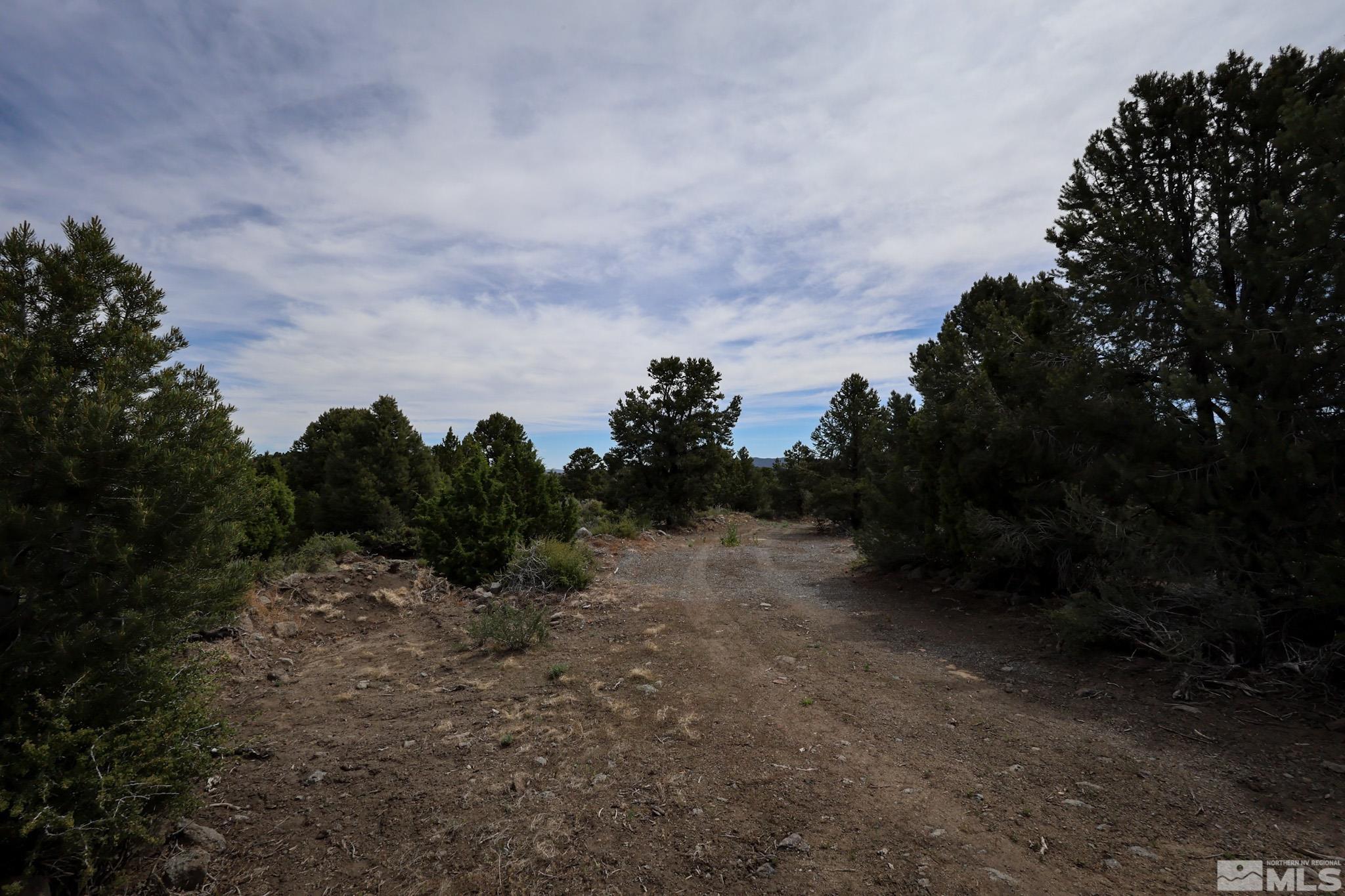 4630 Prospect Road Reno, NV 89521 - Photo 9 of 17 Photo 9
