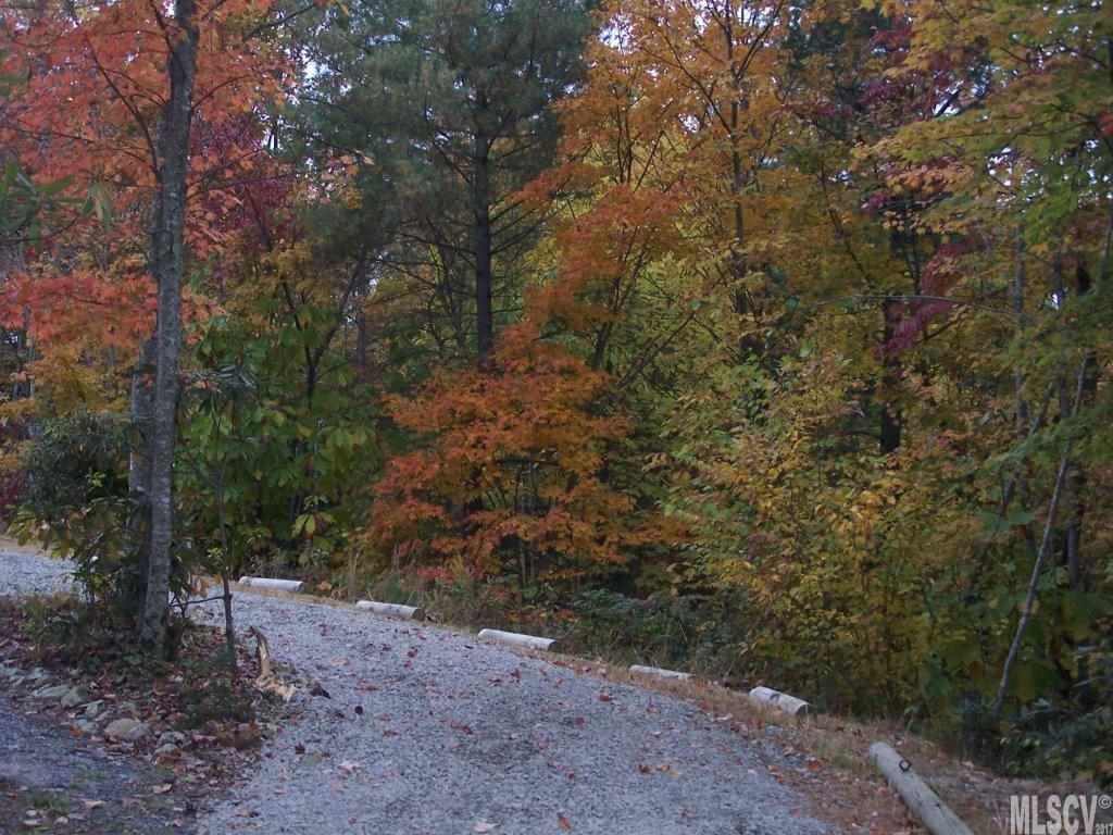 2262 Sampson Road, Unit 19 Lenoir, NC 28645 - Photo 6 of 13 Gallery Image 6
