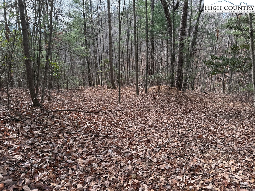 Lot 21 Buck Mountain Road Purlear, NC 28665 - Photo 11 of 46