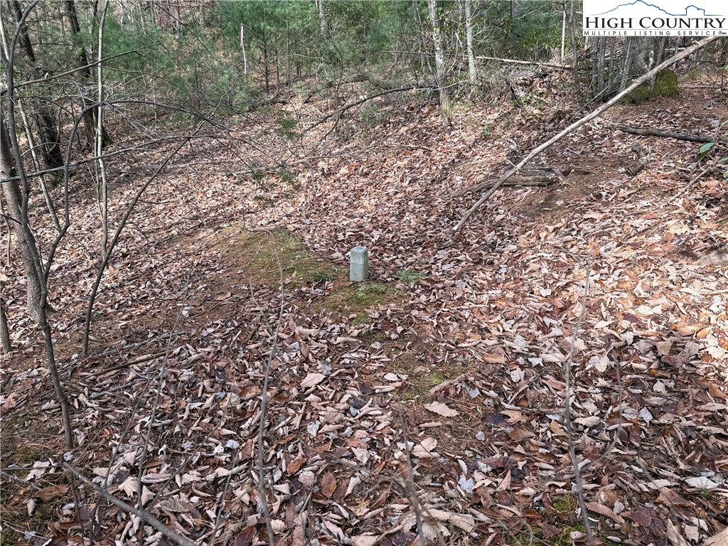 Lot 21 Buck Mountain Road Purlear, NC 28665 - Photo 13 of 46