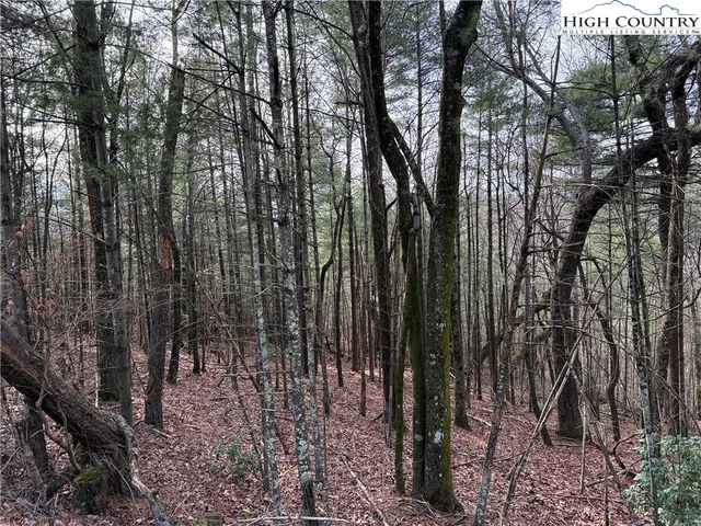 $59,900 | Lot 21 Buck Mountain Road, Purlear, NC 28665