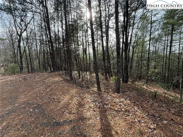 $59,900 | Lot 21 Buck Mountain Road, Purlear, NC 28665