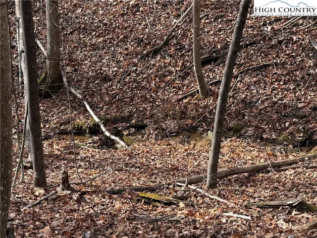 $59,900 | Lot 21 Buck Mountain Road, Purlear, NC 28665