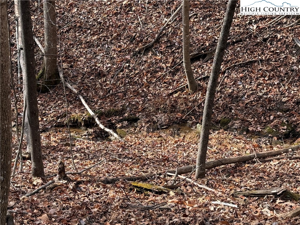 Lot 21 Buck Mountain Road Purlear, NC 28665 - Photo 6 of 46