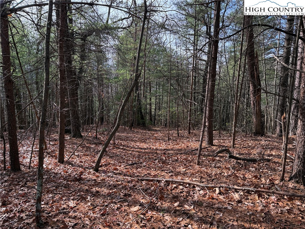 Lot 21 Buck Mountain Road Purlear, NC 28665 - Photo 7 of 46 a backyard of a house with lots of green space