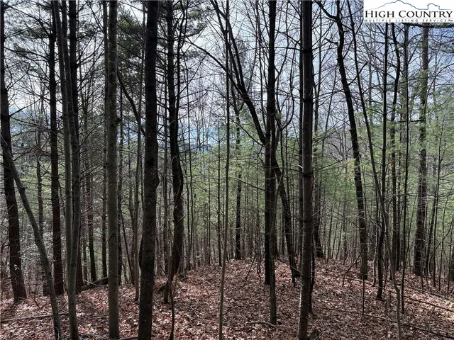$59,900 | Lot 21 Buck Mountain Road, Purlear, NC 28665
