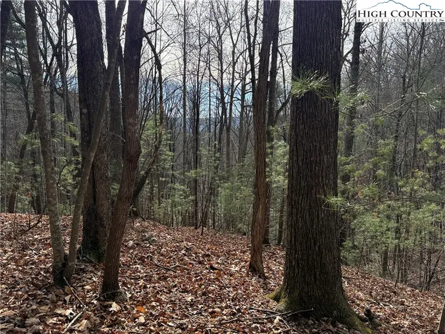 $59,900 | Lot 21 Buck Mountain Road, Purlear, NC 28665