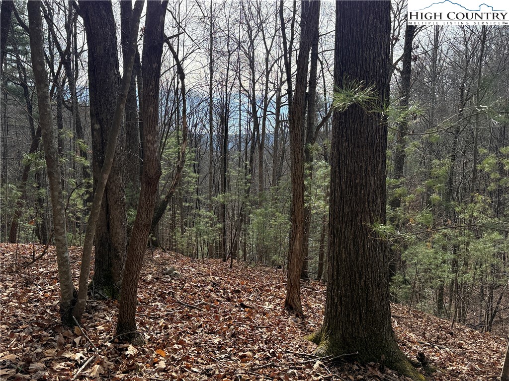 Lot 21 Buck Mountain Road Purlear, NC 28665 - Photo 9 of 46