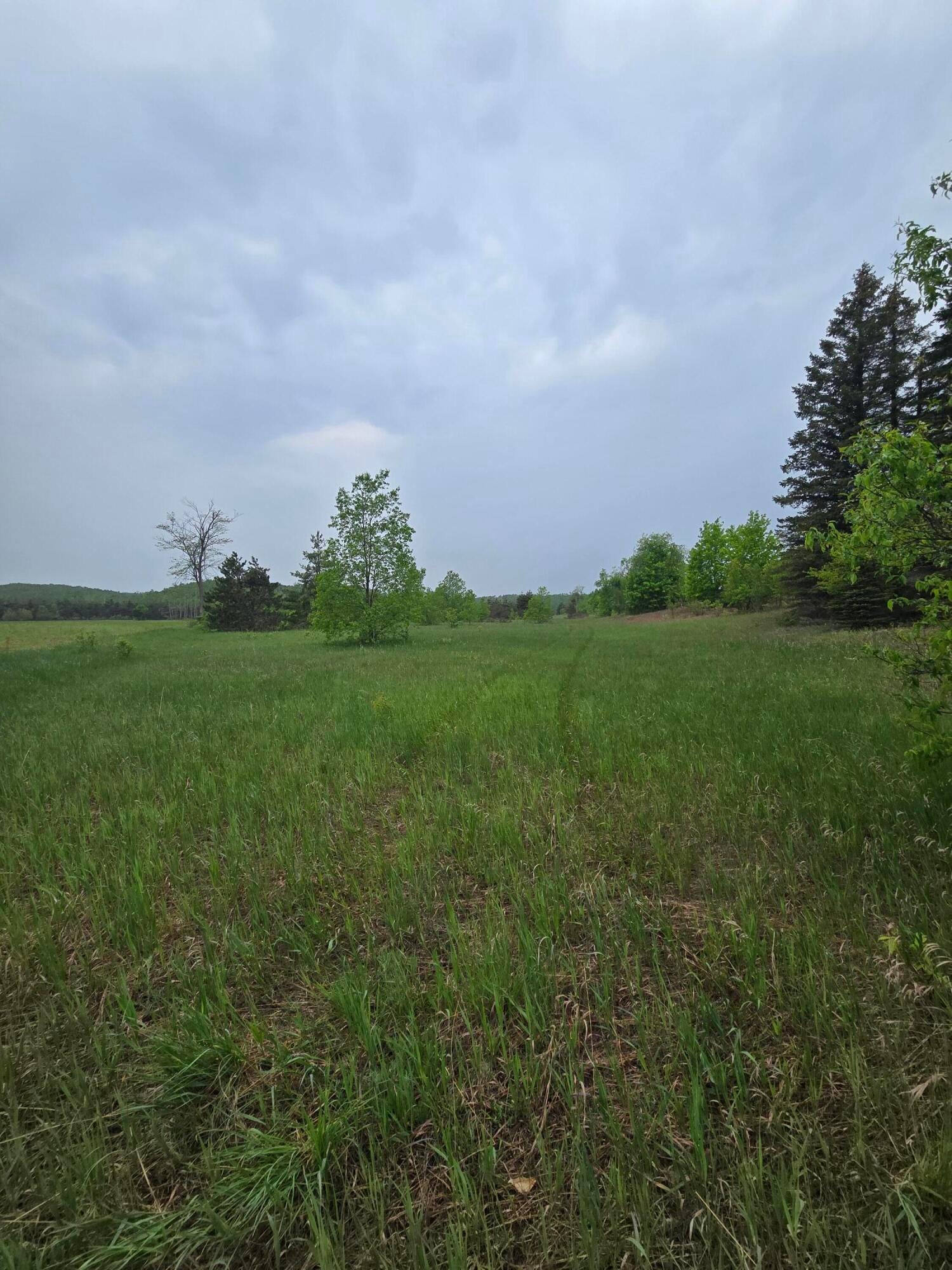 0 Durkalic Road Pellston, MI 49769 - Photo 13 of 15 20250530_112509