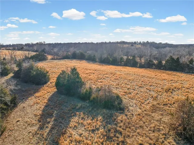 $270,000 | 10155 Liv 233, Chillicothe, MO 64601