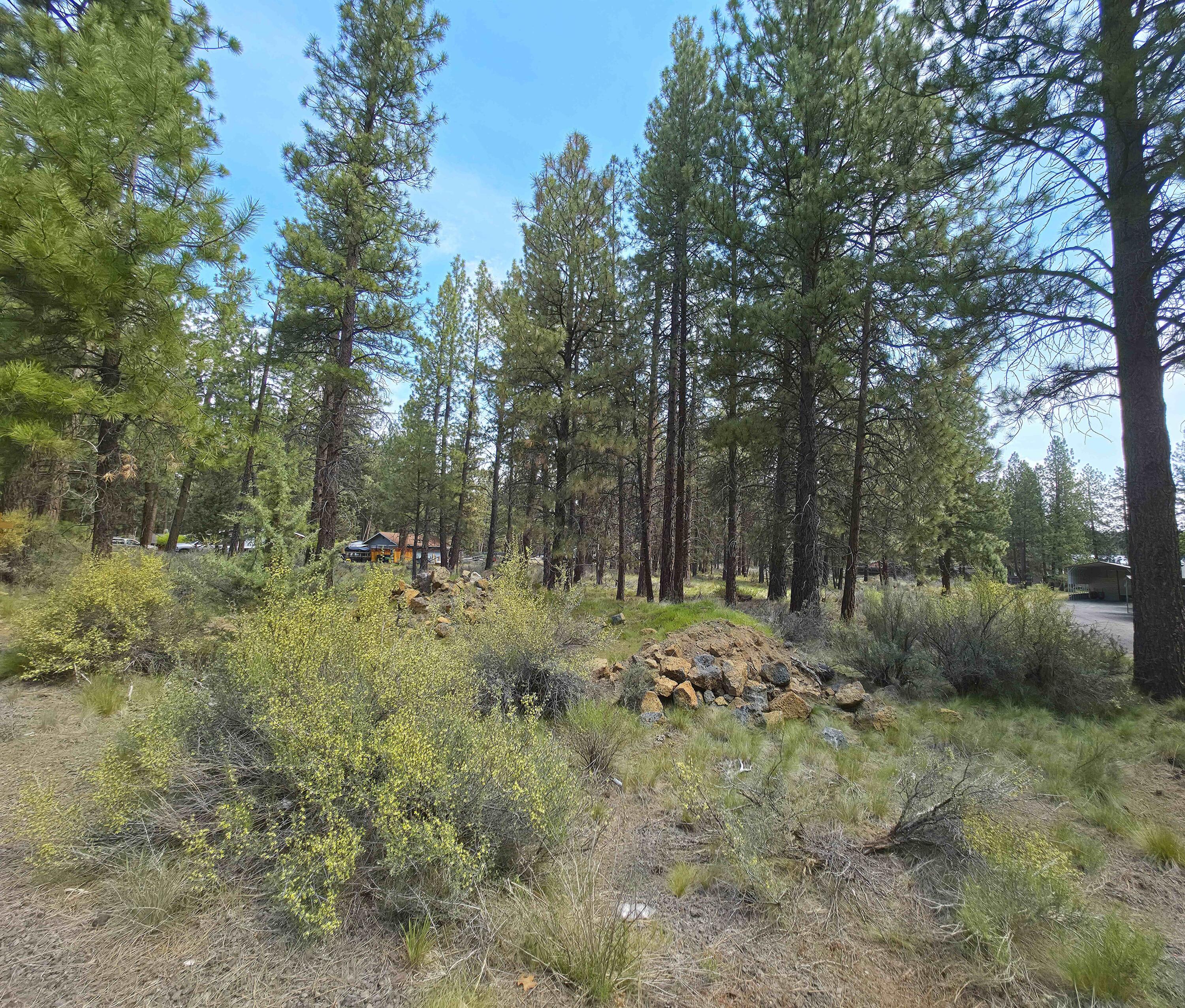59940 Navajo Road, Unit 700 Bend, OR 97702 - Photo 2 of 8 Mature trees