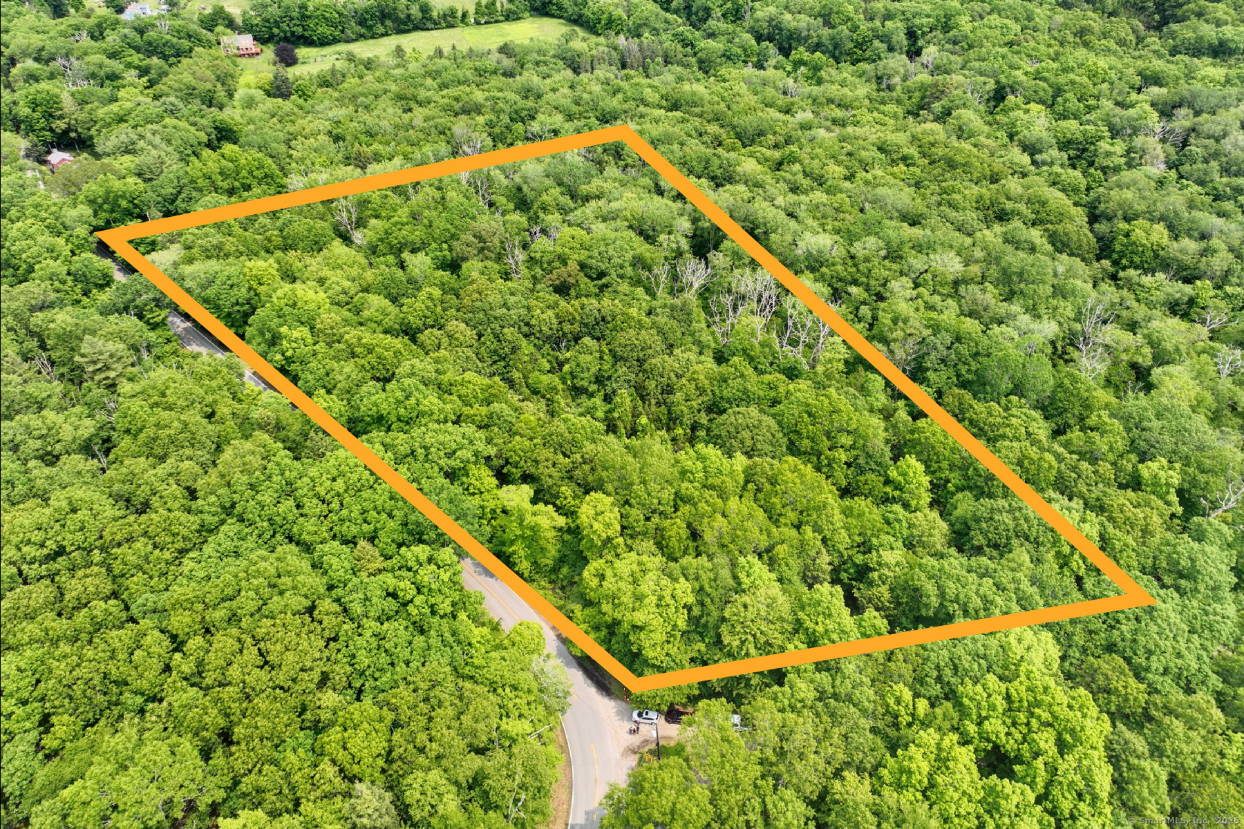 a green field with plants in the background