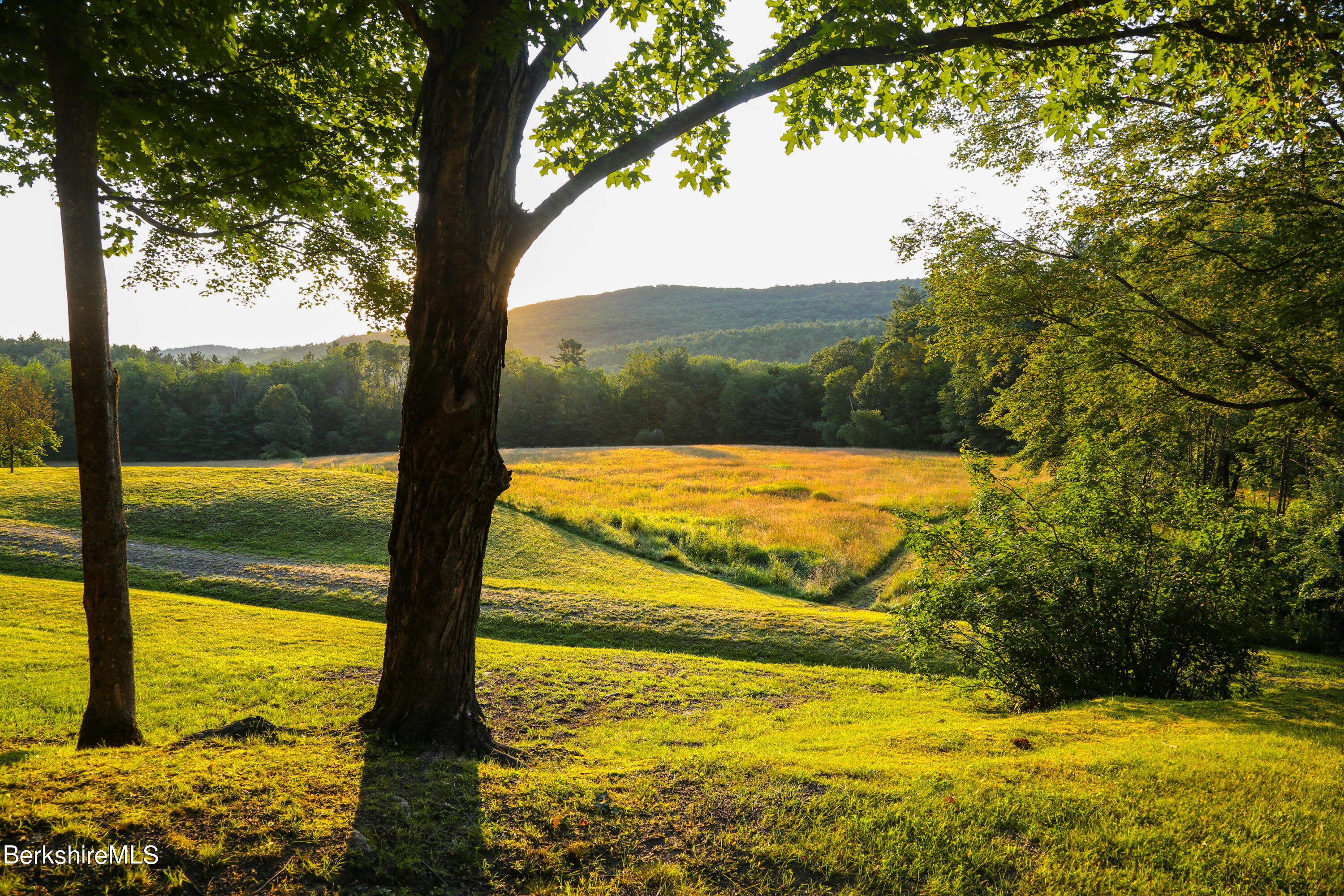 369 Bullitt Road Ashfield, MA 01330 - Photo 5 of 50 a view of an ocean from a yard