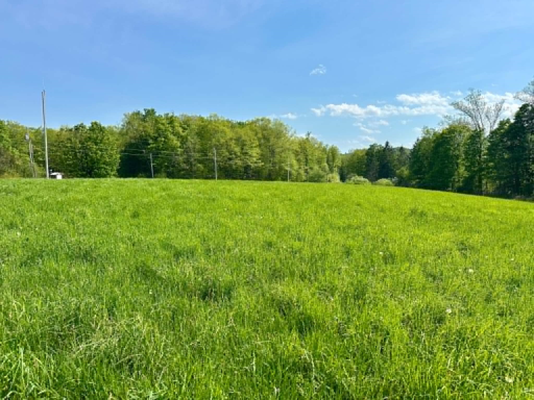Lot A Sweet Pond Road, Unit LOT 1 Guilford, VT 05301 - Photo 4 of 9