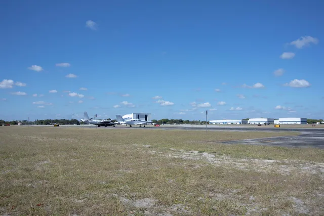 a view of a park with a palm tree