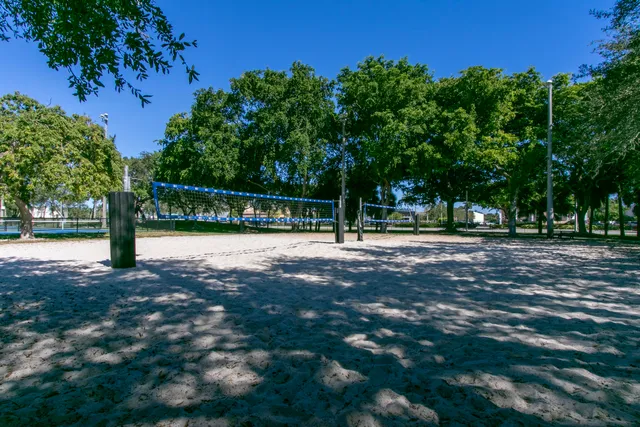 a view of a park with large trees