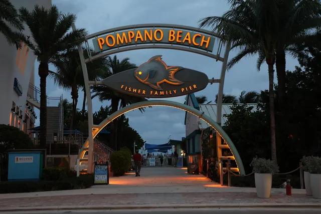 a view of a backyard with plants and a patio