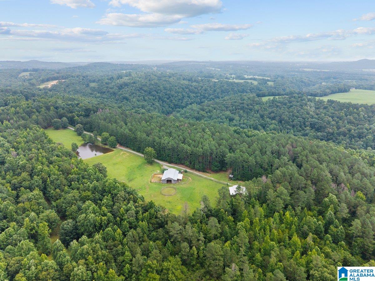 2040 Bud Mountain Road Blountsville, AL 35031 - Photo 45 of 47
