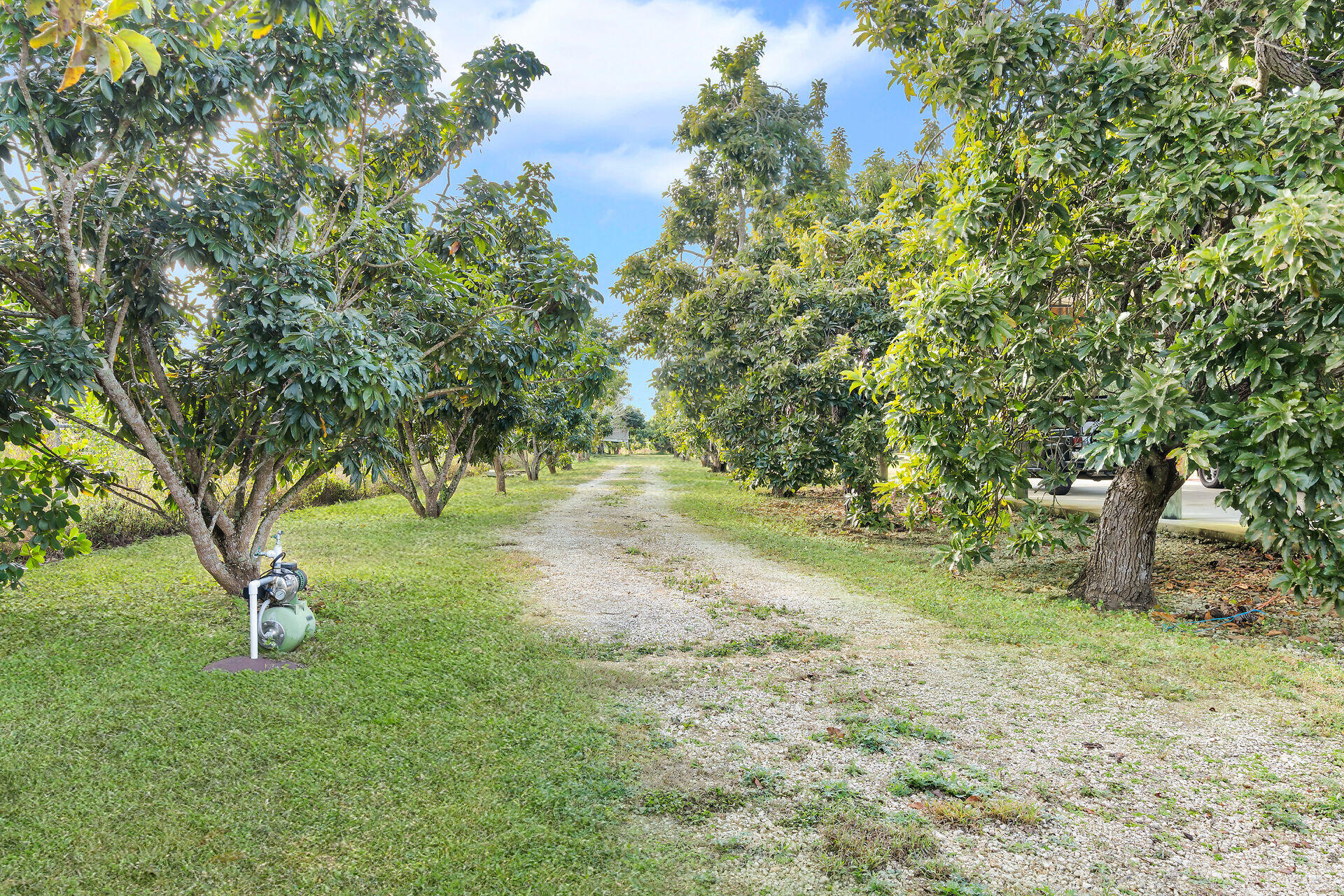 19900 Southwest 280th Street Homestead, FL 33031 - Photo 13 of 52 a view of backyard