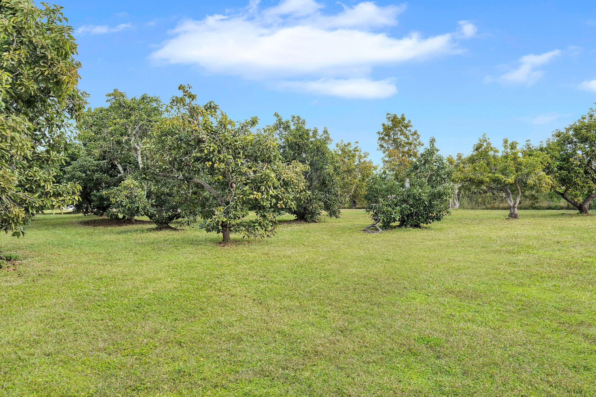 19900 Southwest 280th Street Homestead, FL 33031 - Photo 16 of 52 a view of a field with trees in the background