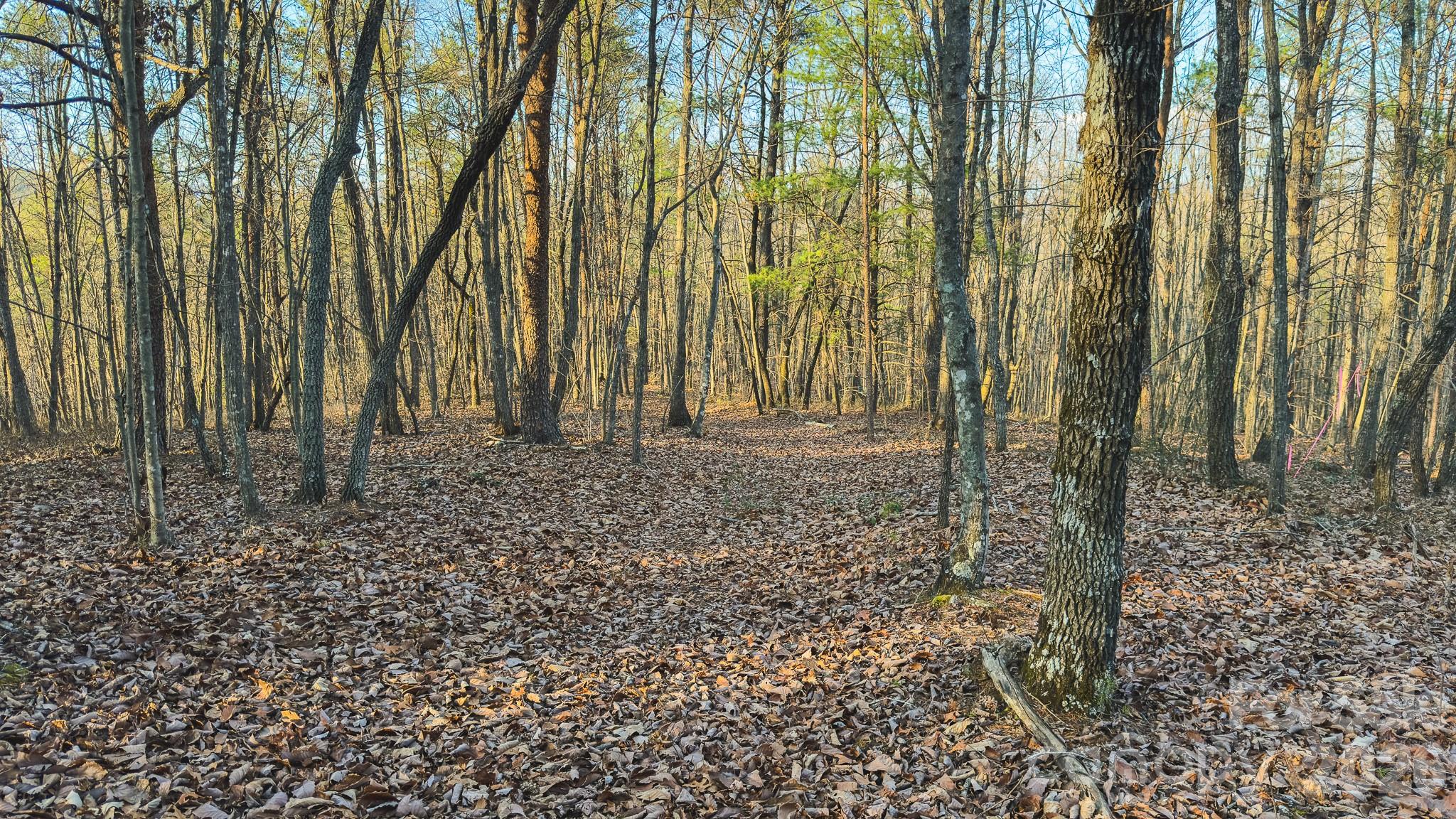 4 All Healing Springs Road, Unit 1 Taylorsville, NC 28681 - Photo 19 of 20