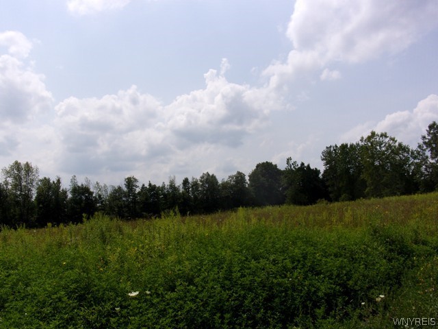 0 South Manning Road West Holley, NY 14470 - Photo 1 of 1 Gallery Image 1