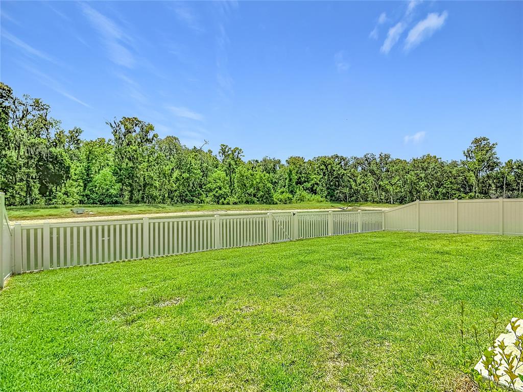 1633 Red Loop Lakeland, FL 33801 - Photo 43 of 60 a view of a yard with a fence and a trees