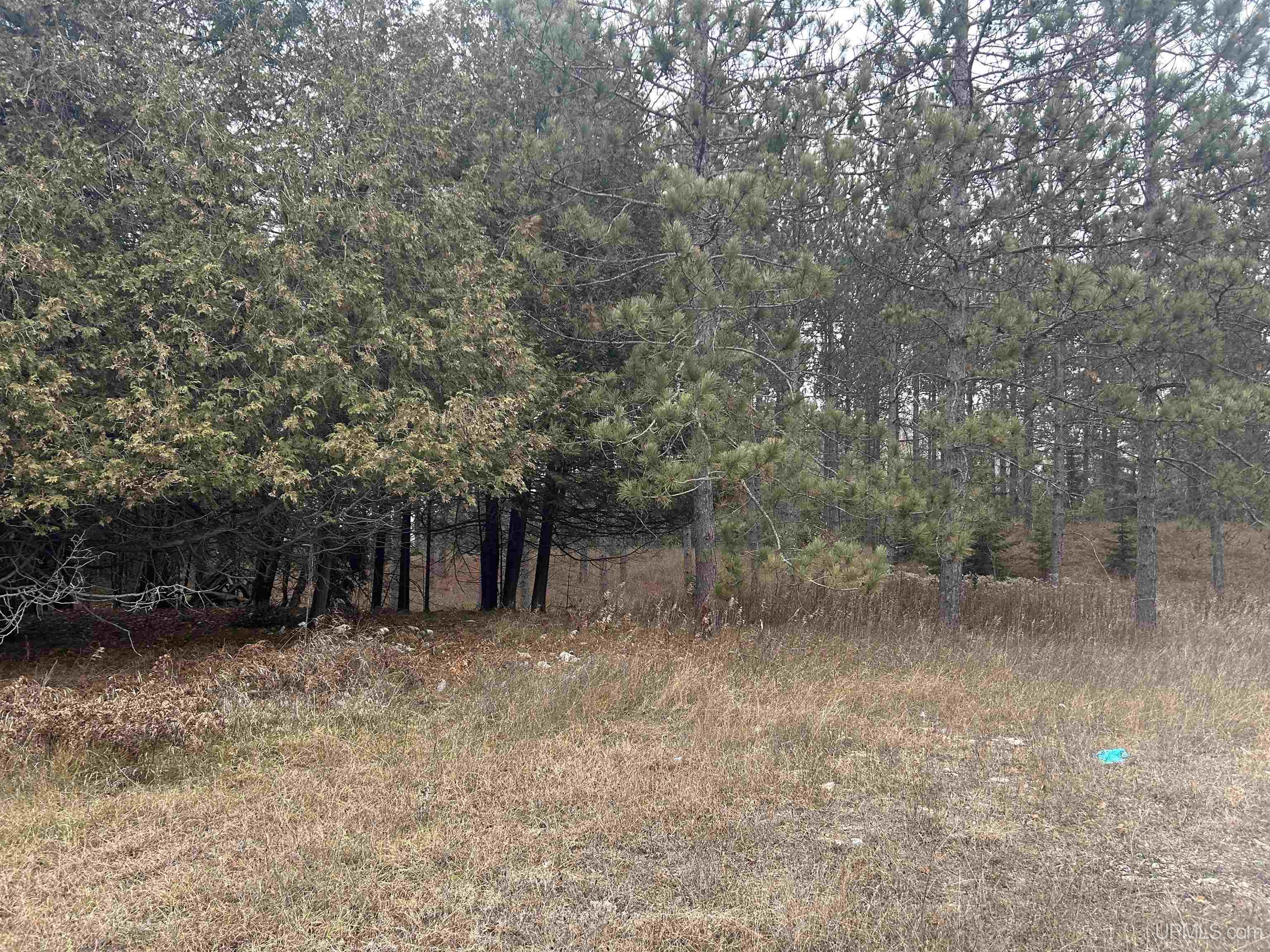 W4777 Lahay Road Daggett, MI 49821 - Photo 62 of 67