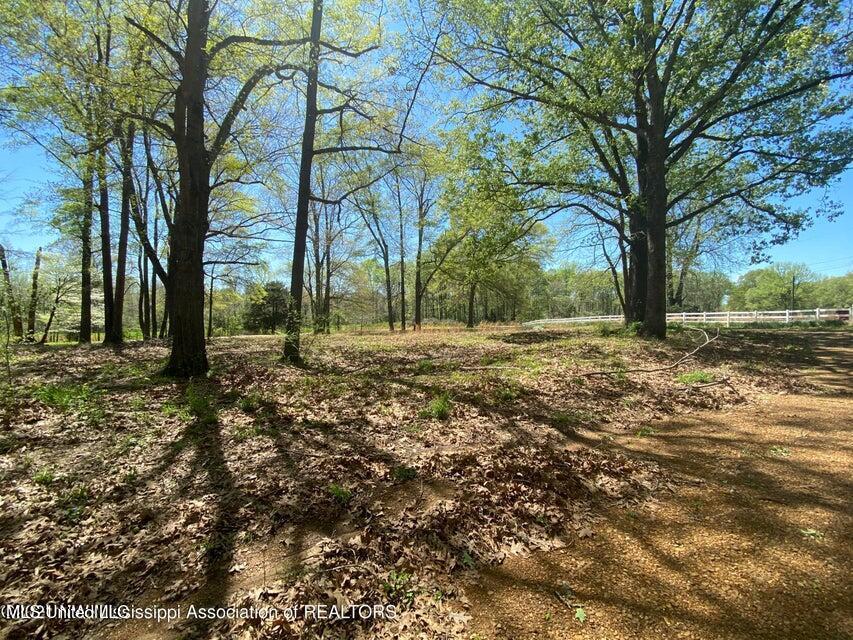 568 Laughter Road Hernando, MS 38632 - Photo 2 of 2 Picture - 5
