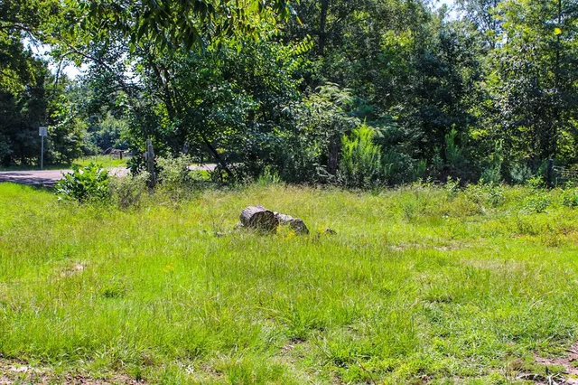 a view of swimming pool and yard