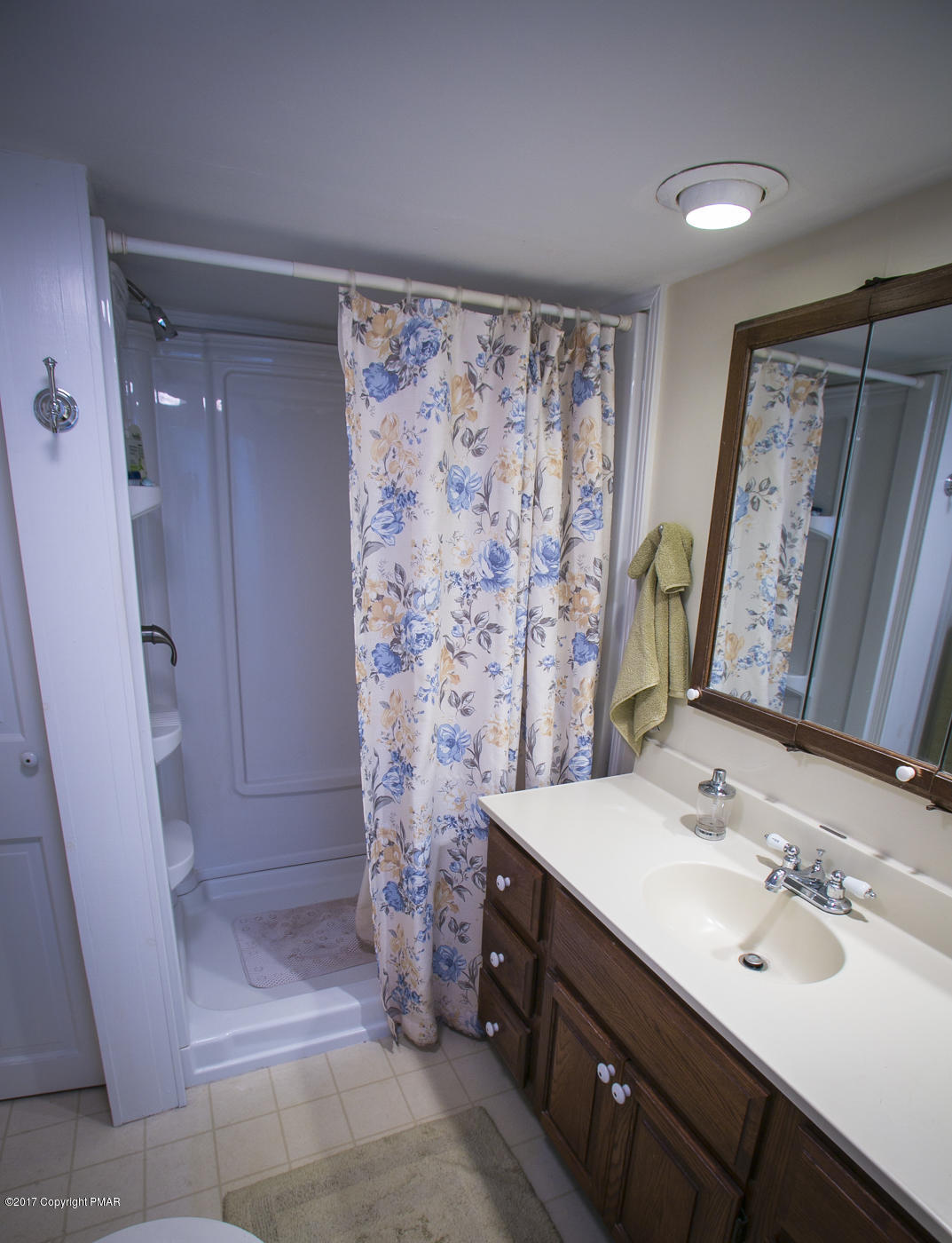 429 Upper Swiftwater Road Cresco, PA 18326 - Photo 22 of 50 a bathroom with a sink a toilet and shower
