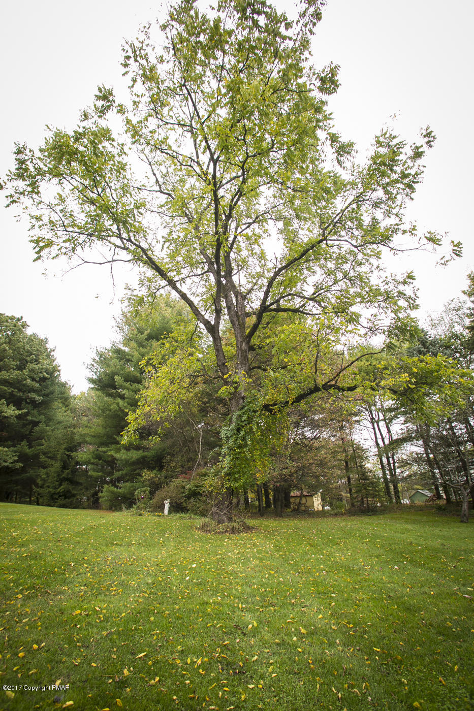 429 Upper Swiftwater Road Cresco, PA 18326 - Photo 36 of 50 a view of outdoor space and yard