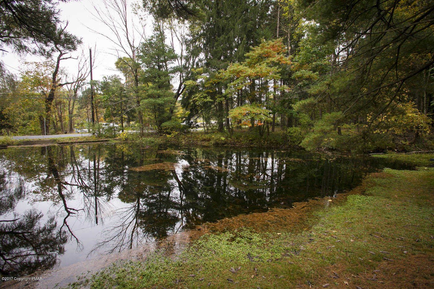 429 Upper Swiftwater Road Cresco, PA 18326 - Photo 40 of 50 a view of lake from yard