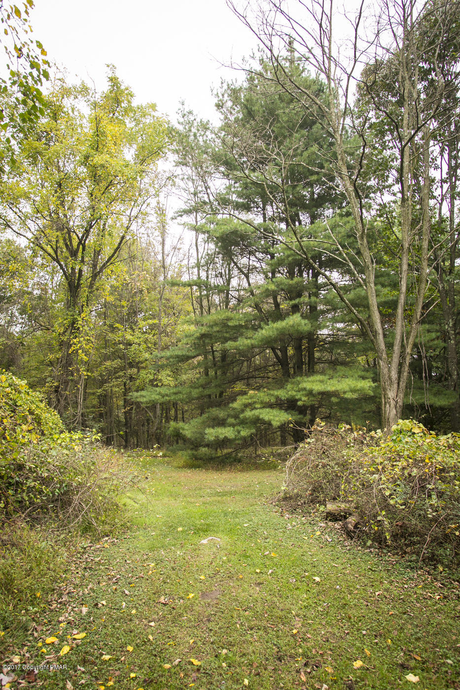 429 Upper Swiftwater Road Cresco, PA 18326 - Photo 44 of 50 a view of a yard with an outdoor space