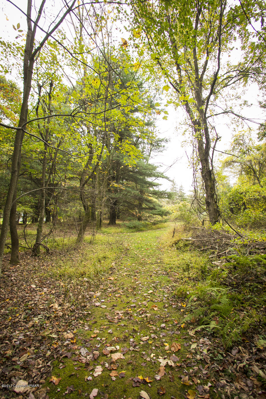 429 Upper Swiftwater Road Cresco, PA 18326 - Photo 47 of 50