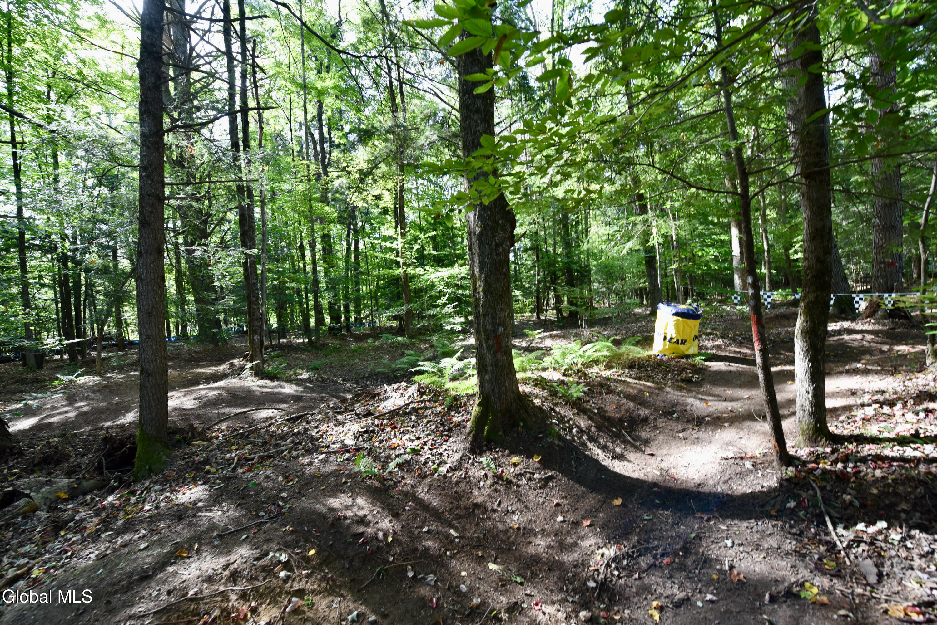 550 North Creek Road Greenfield, NY 12833 - Photo 51 of 72 52