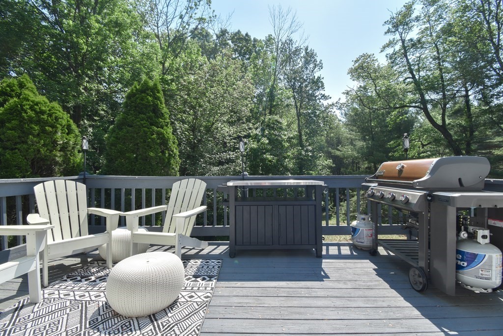 102 Sheep Pasture Road Southwick, MA 01077 - Photo 12 of 31 Gallery Image 12