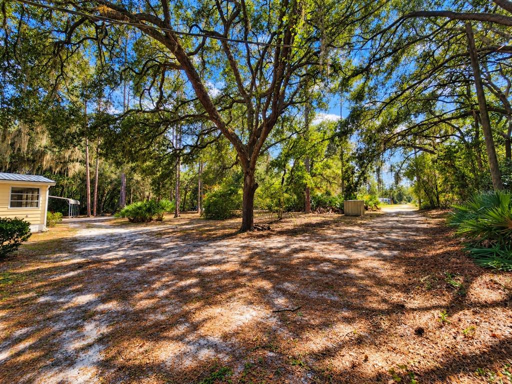 126 Bayberry Road Georgetown, FL 32139 - Photo 31 of 43 Gallery Image 31