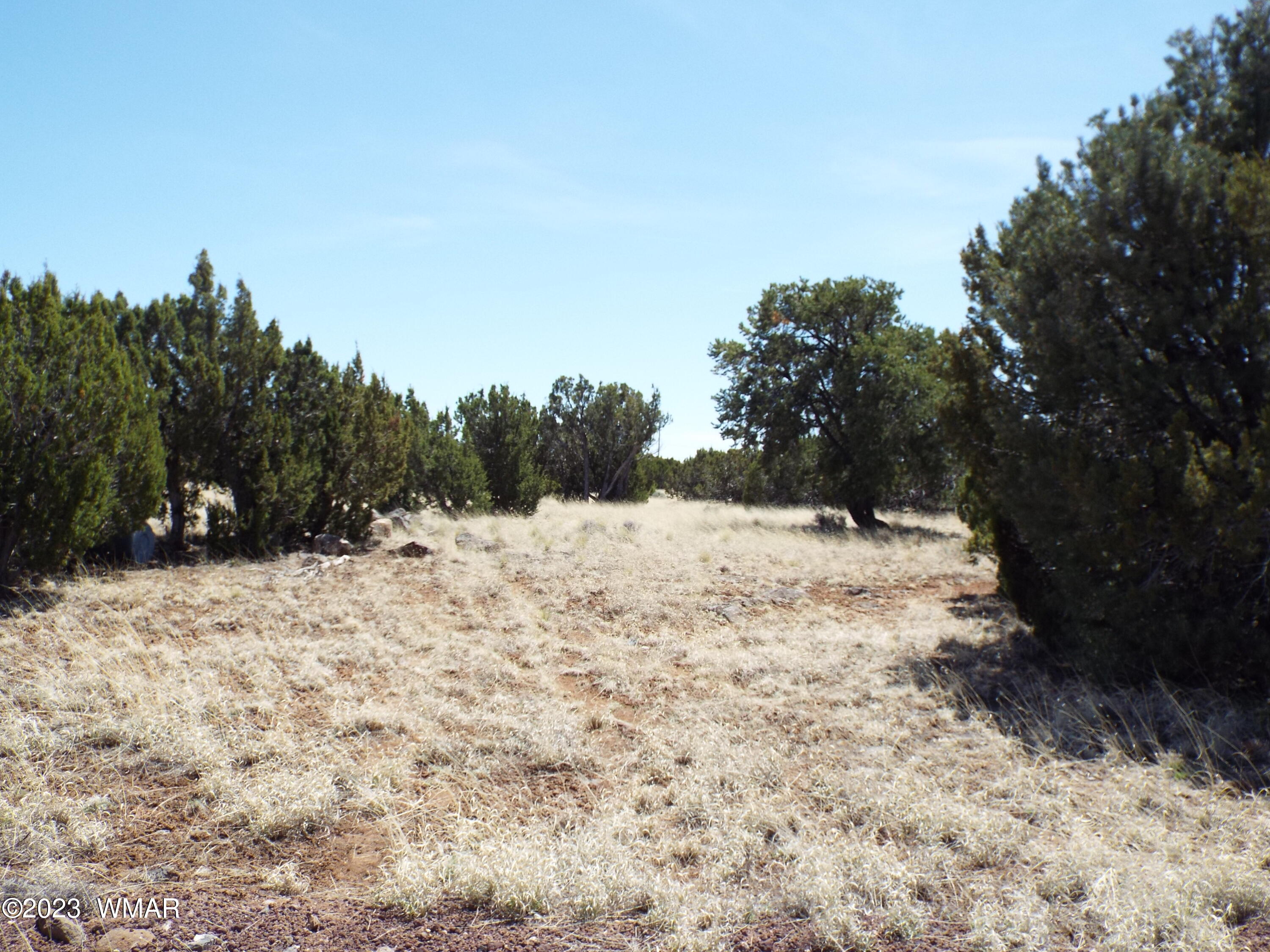 62 County Road Concho, AZ 85924 - Photo 1 of 8