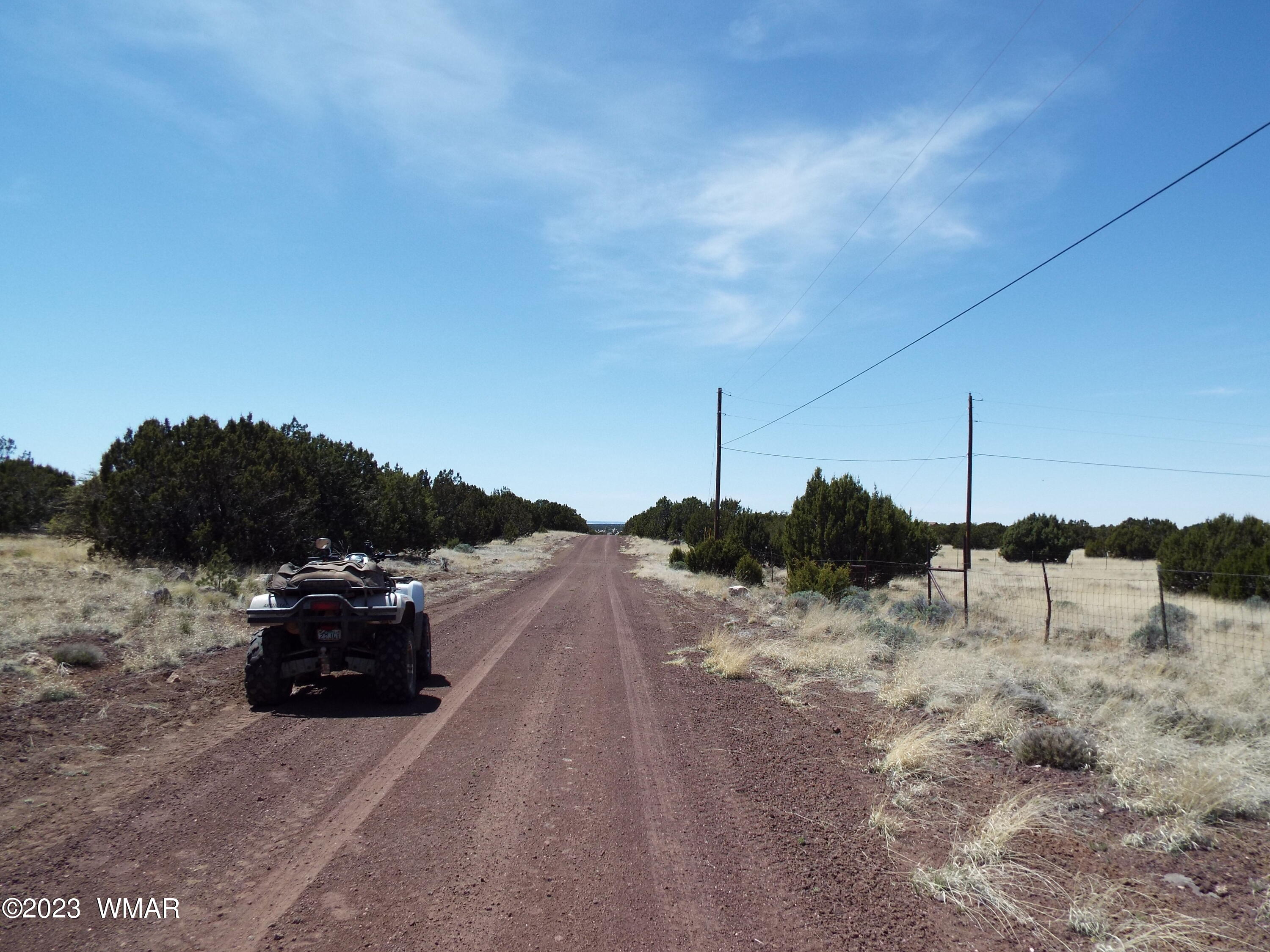 62 County Road Concho, AZ 85924 - Photo 2 of 8