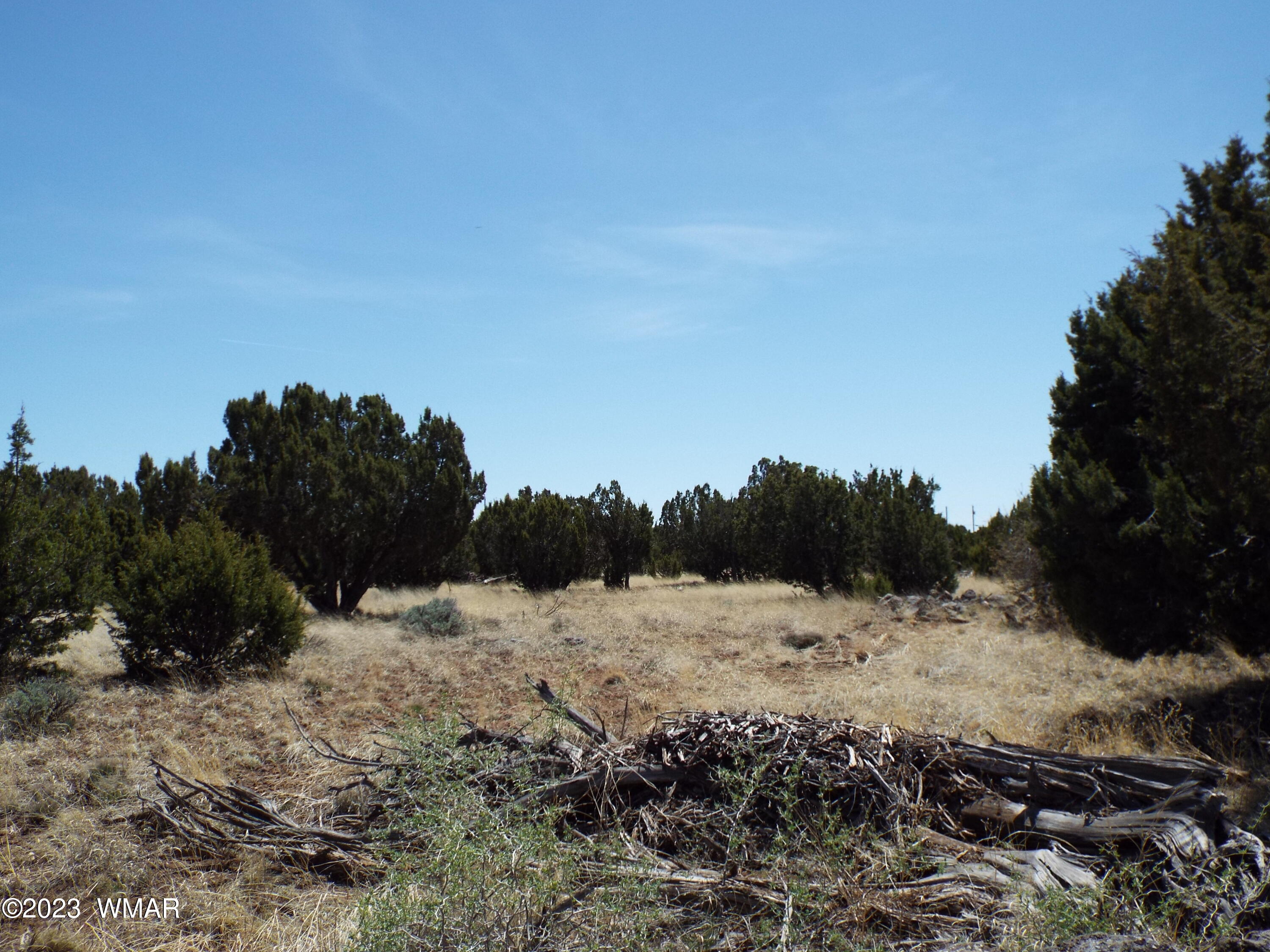 62 County Road Concho, AZ 85924 - Photo 3 of 8
