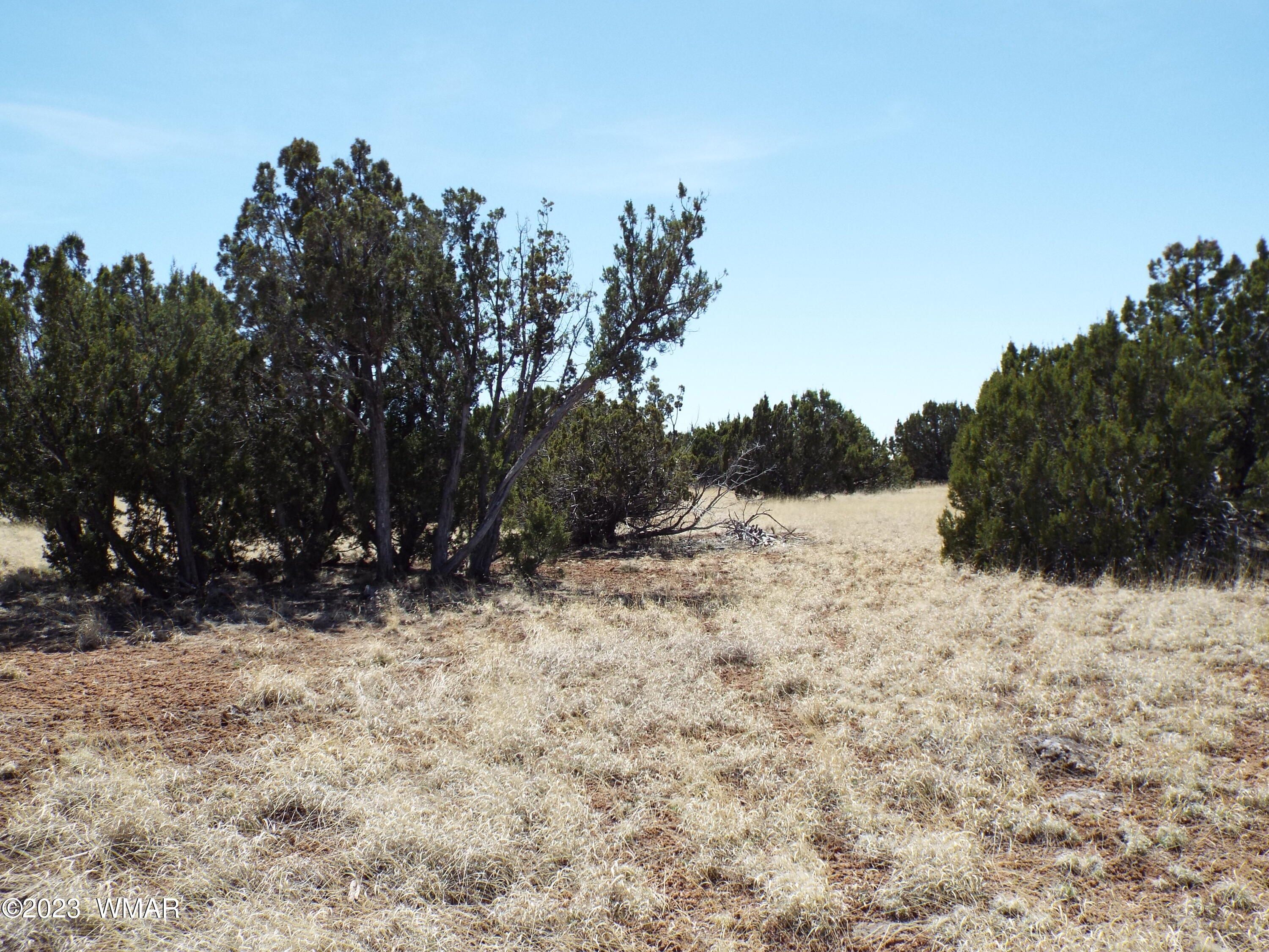 62 County Road Concho, AZ 85924 - Photo 5 of 8